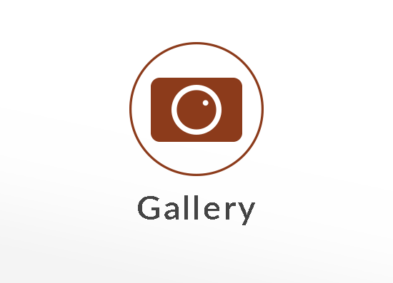 Picture Gallery Button